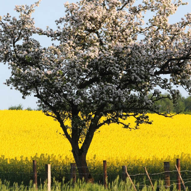 Ökologische Planungs- und Baubegleitung